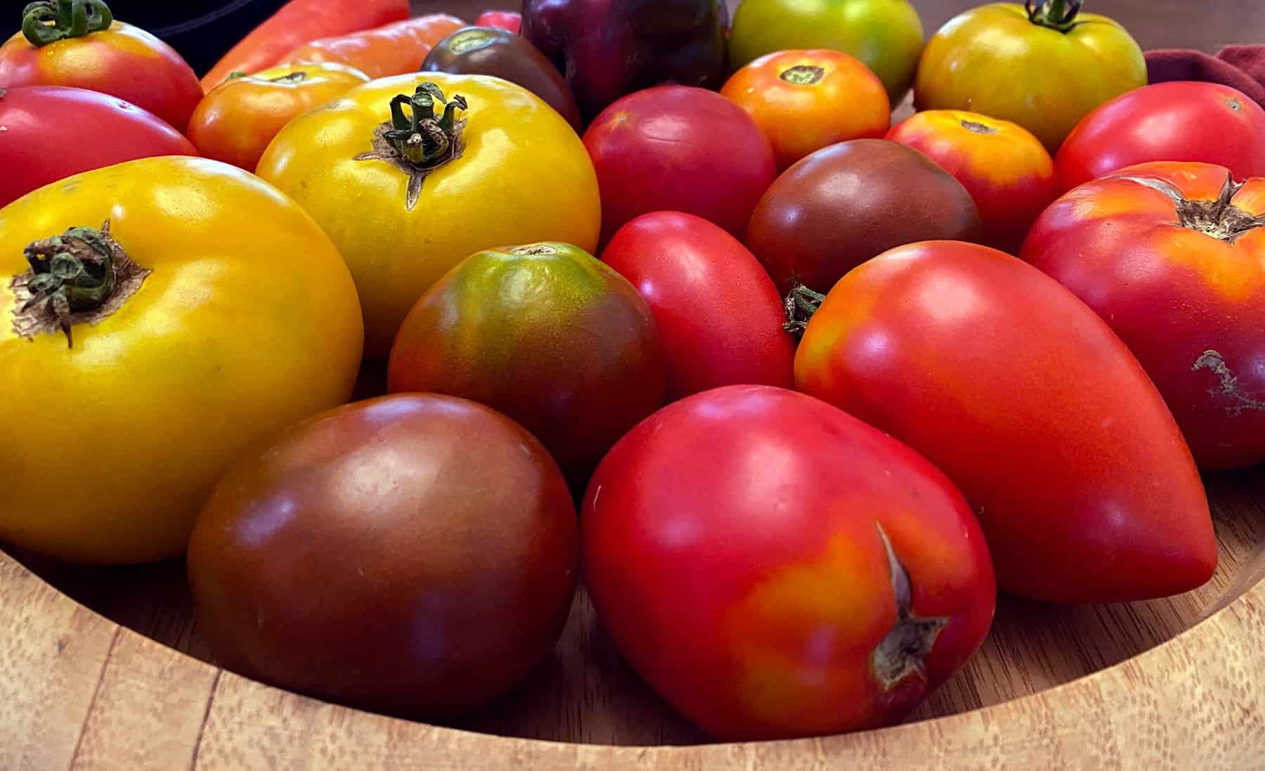 10 Ideas for Rising Tomatoes * Large Weblog of Gardening