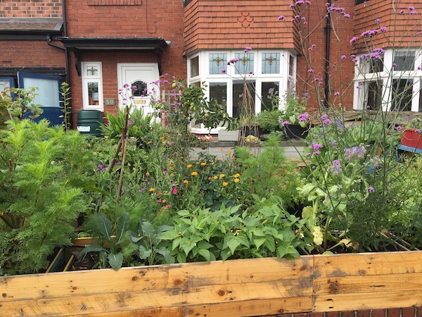 Mixing with veg adds colour, attracts bees, and some of these flowers are edible, too. 