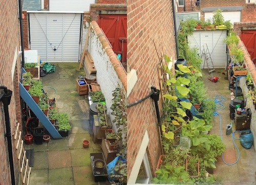 How much food can you grow on concrete?