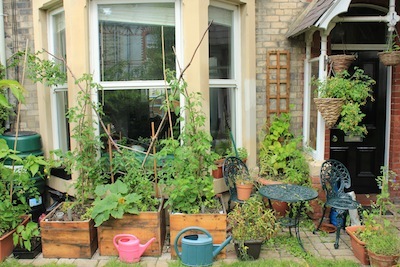 This was the growing space at the front of the house. It was south facing - but a large tree in a neighbours garden cast it in shade for much of the day from June onwards.