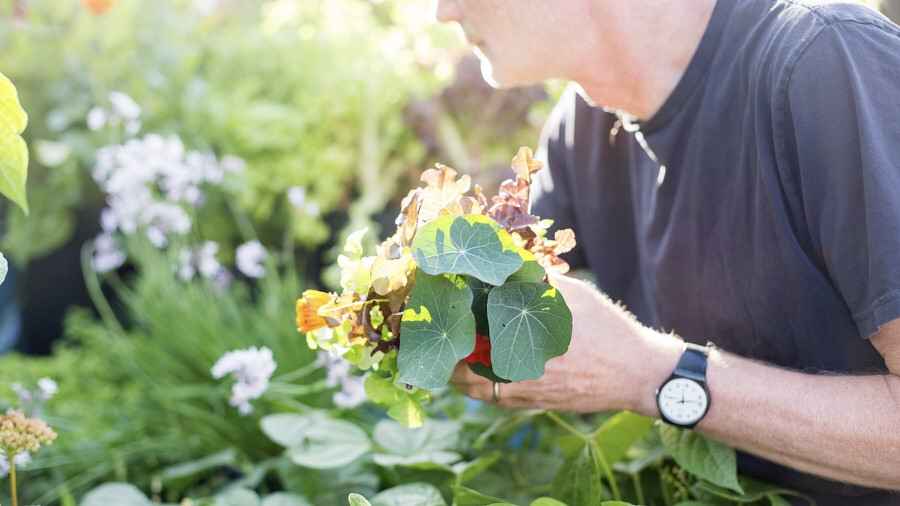 Creating your very best edible (and delightful) backyard in containers